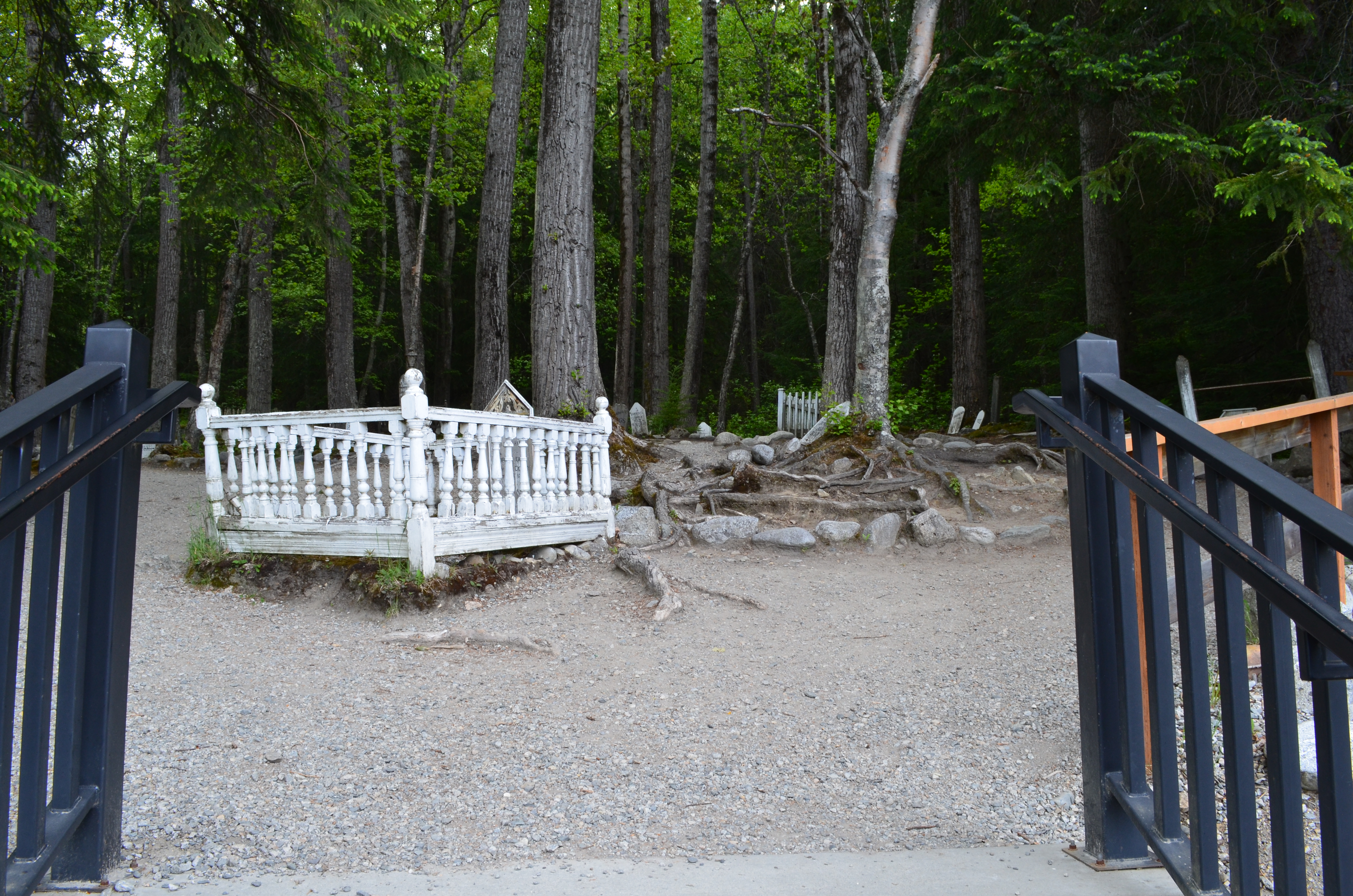 ./2017/08 - Alaska Cruise/09 - Skagway/ADSC_0997.JPG